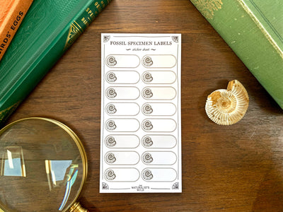 Fossil Specimen Label Sheet