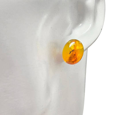 Natural Amber Stud Earrings with Insects
