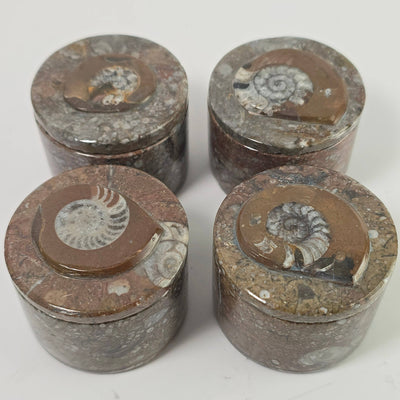 Goniatite Trinket Box