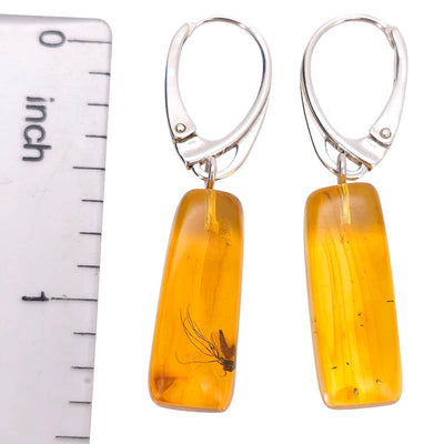 Amber Earrings With Insects