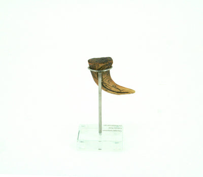 Velociraptor Vertical Claw replica