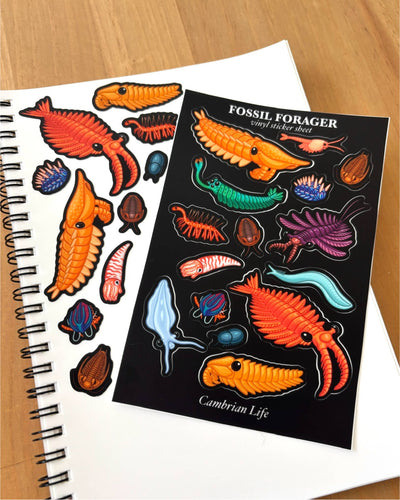 Cambrian Life Sticker Sheet