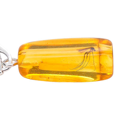 Amber Earrings With Insects