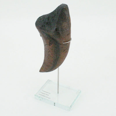 Tyrannosaurus Rex Vertical Claw
