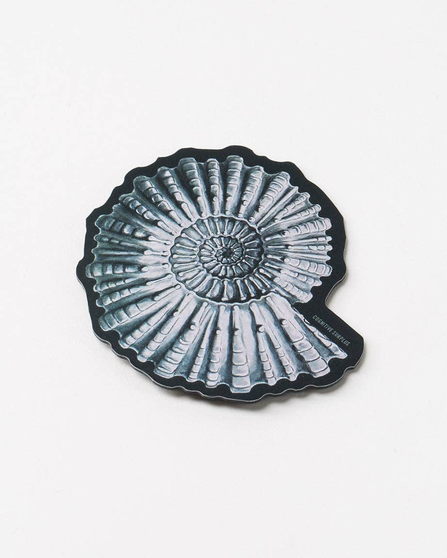 Ammonite Fossil Magnet