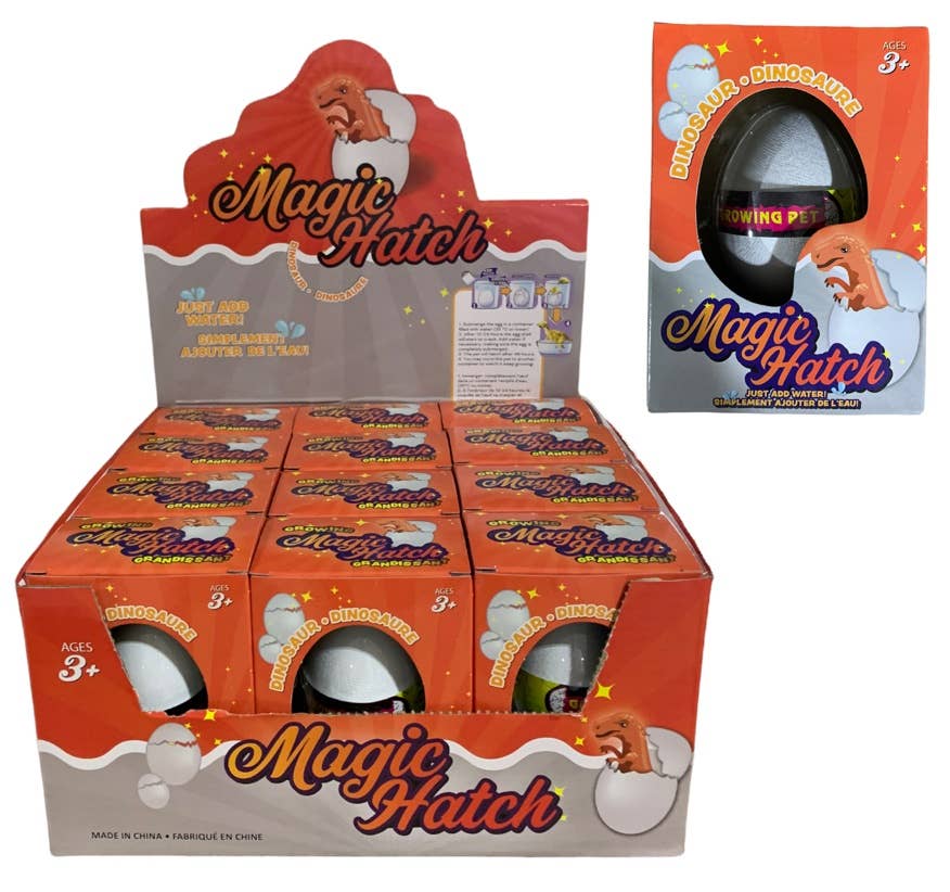 Magic Hatching Dino Egg