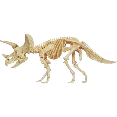 4D Triceratops Vision Model