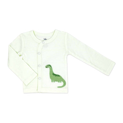 4 Piece Take Me Home Set: Green Dinosaur