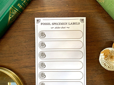 Fossil Specimen Label Sheet