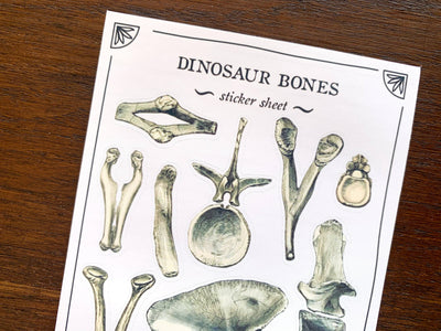 Dinosaur Bones Sticker Sheet
