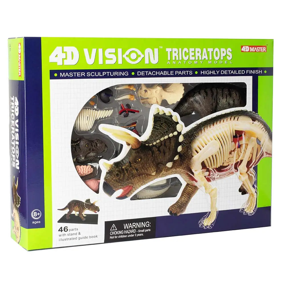 4D Triceratops Vision Model
