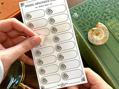 Fossil Specimen Label Sheet