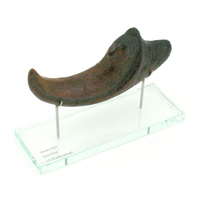 Allosaurus Horizontal Claw Replica