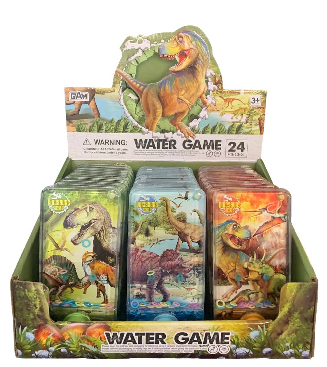 Dinosaur Water Game