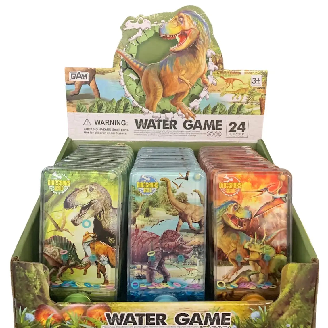 Dinosaur Water Game