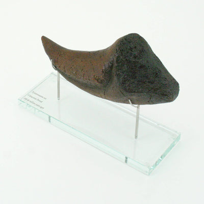T.rex Horizontal Claw replica