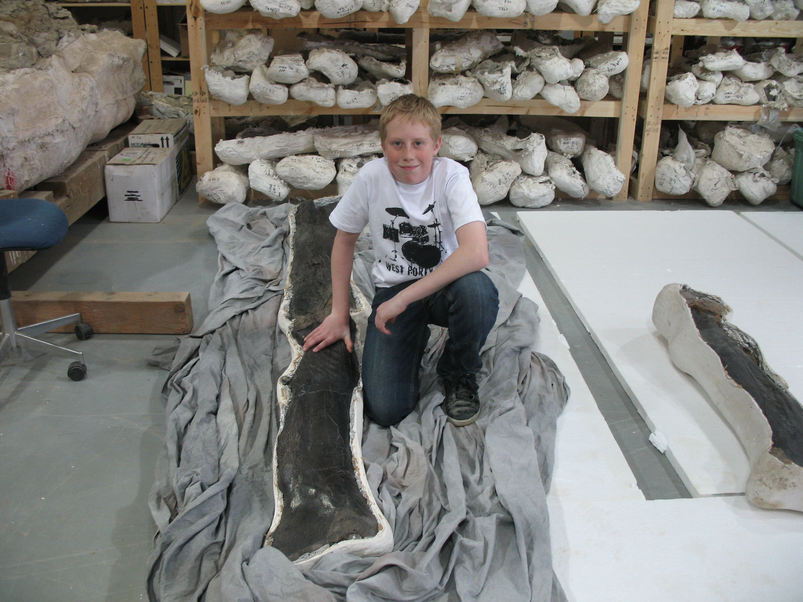 Tyrannosaurus rex - femur, tibia  One of our guests posing with the leg of a T.rex we named “King Kong”. The leg bones are still in their protective field jackets.    (approx. 65 million years old)