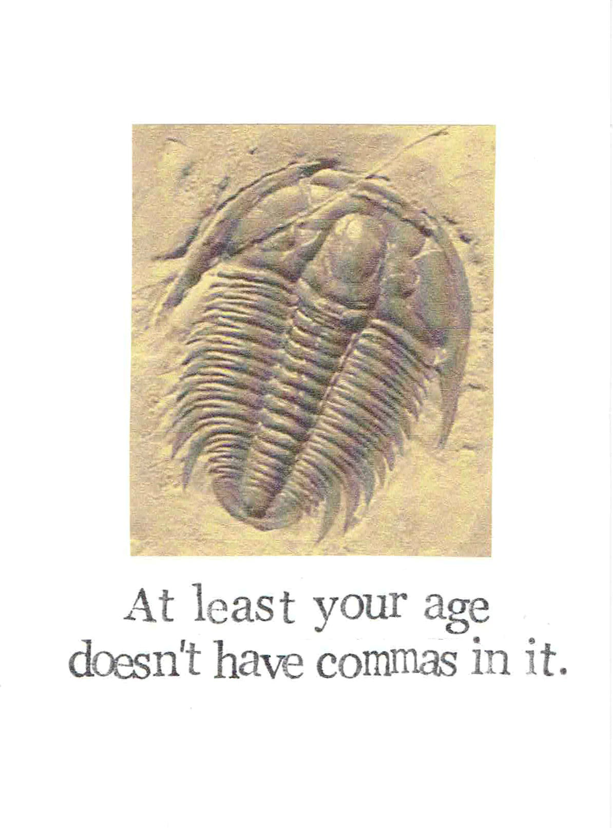 Age Doesn't Have Commas Birthday Card