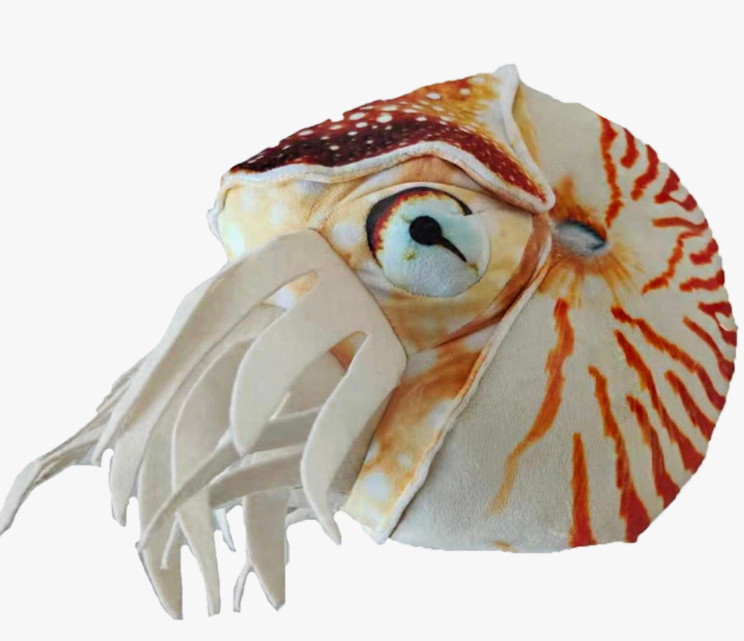 Nautilus Plush 12" Stuffed Animal Collectible Fossil Toy