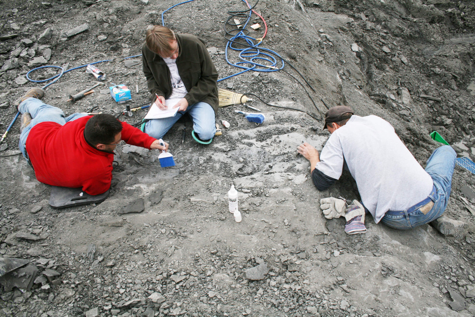 Craving adventure? Put on your traveler's hat, grab a tool, and dig for fossils like an amateur paleontologist