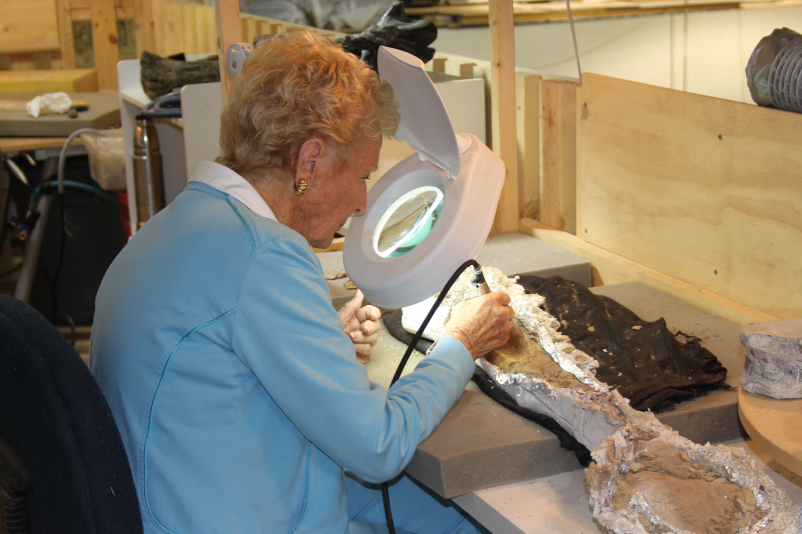 Fossil Prep in Action  This amazing VIP guest is an avid fossil lover. She has travelled all over the work to visit, study, dig, and help prepare fossils. She even has her own mini prep lab at home!  