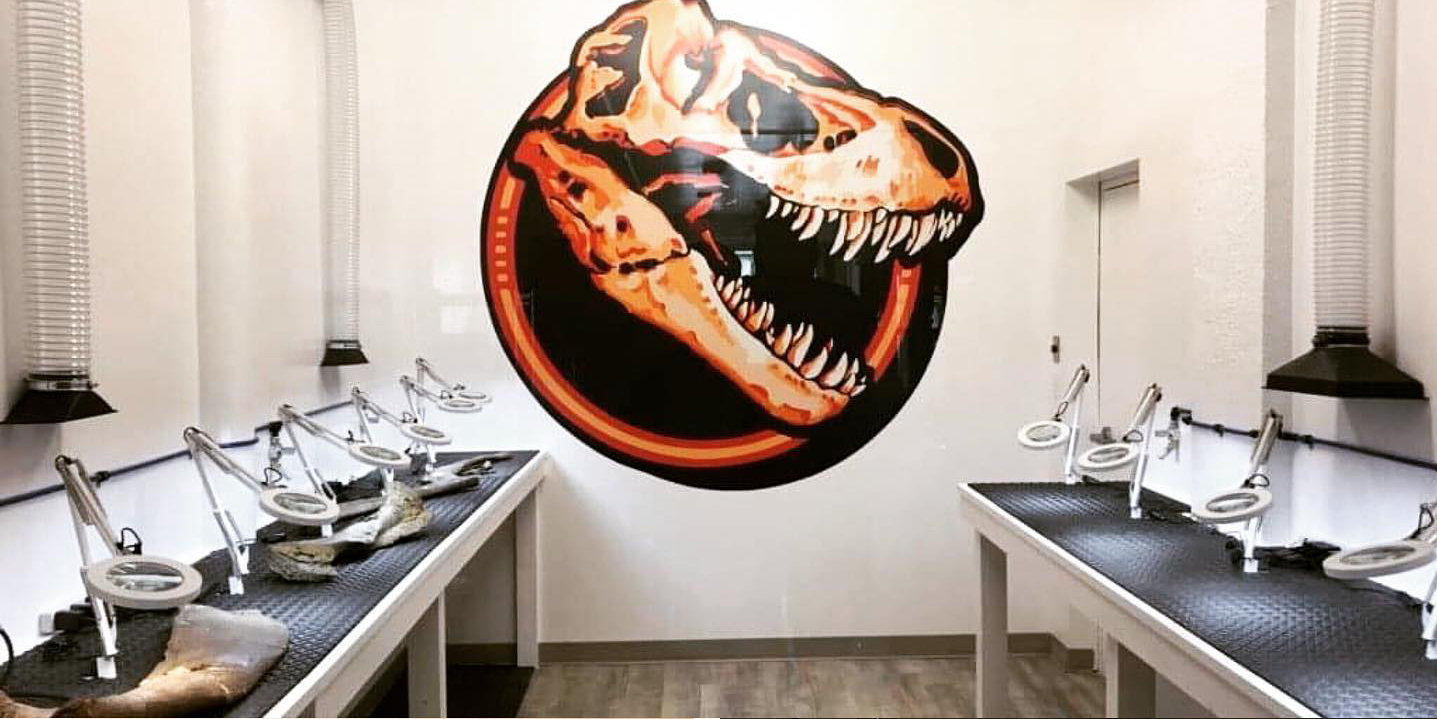 Behind the scenes in our new prep lab at the Dino Lab Inc headquarters. Dinolab, fossil preparation, T.rex, Tyrannosaurus rex, restoration, paleontology, dinosaur experience