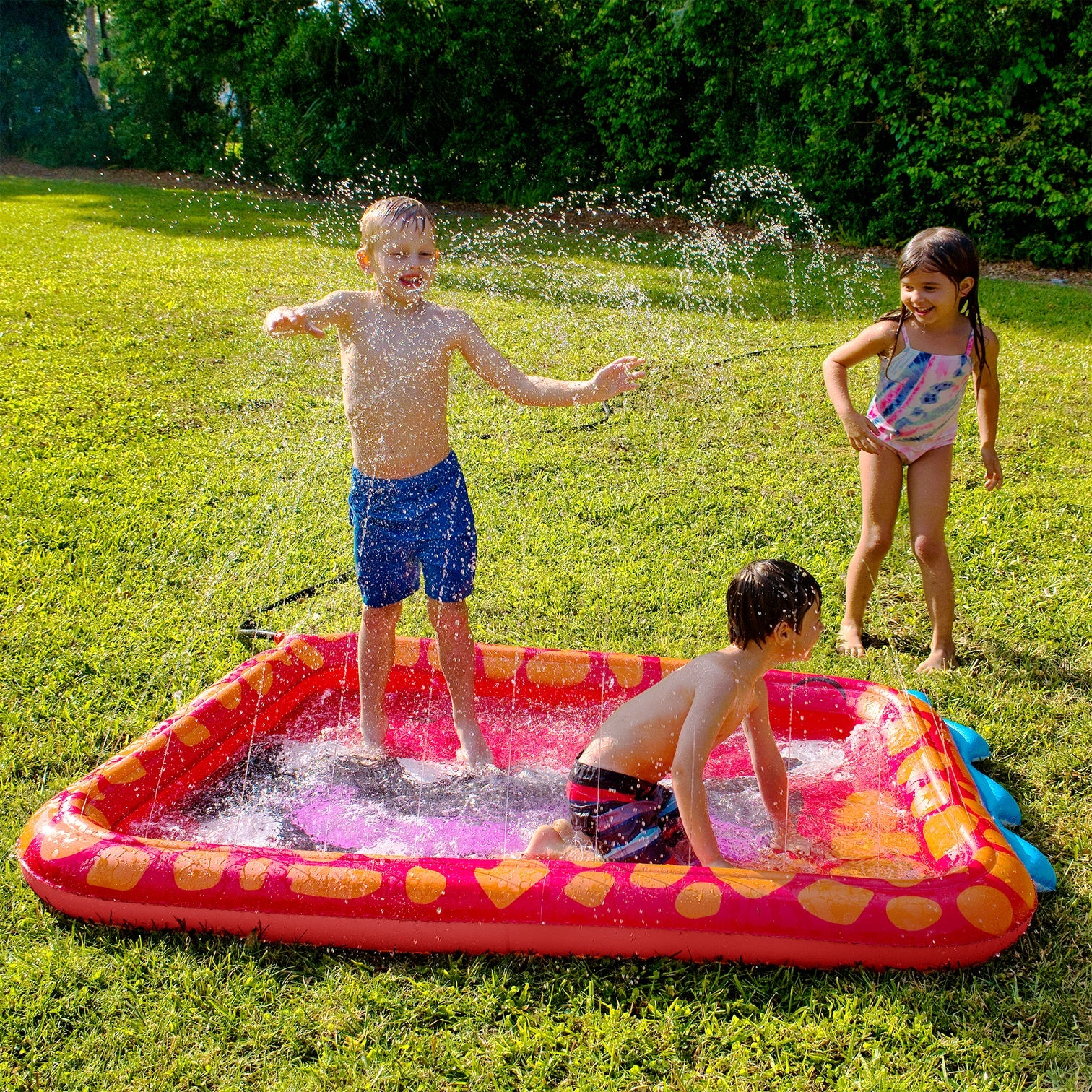 Delightful Dinosaur Splashpad