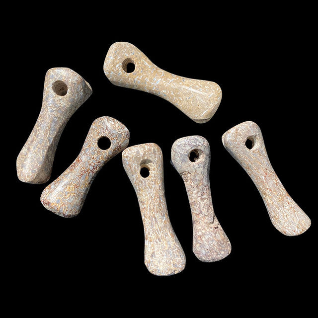 Dinosaur Bone Pendant