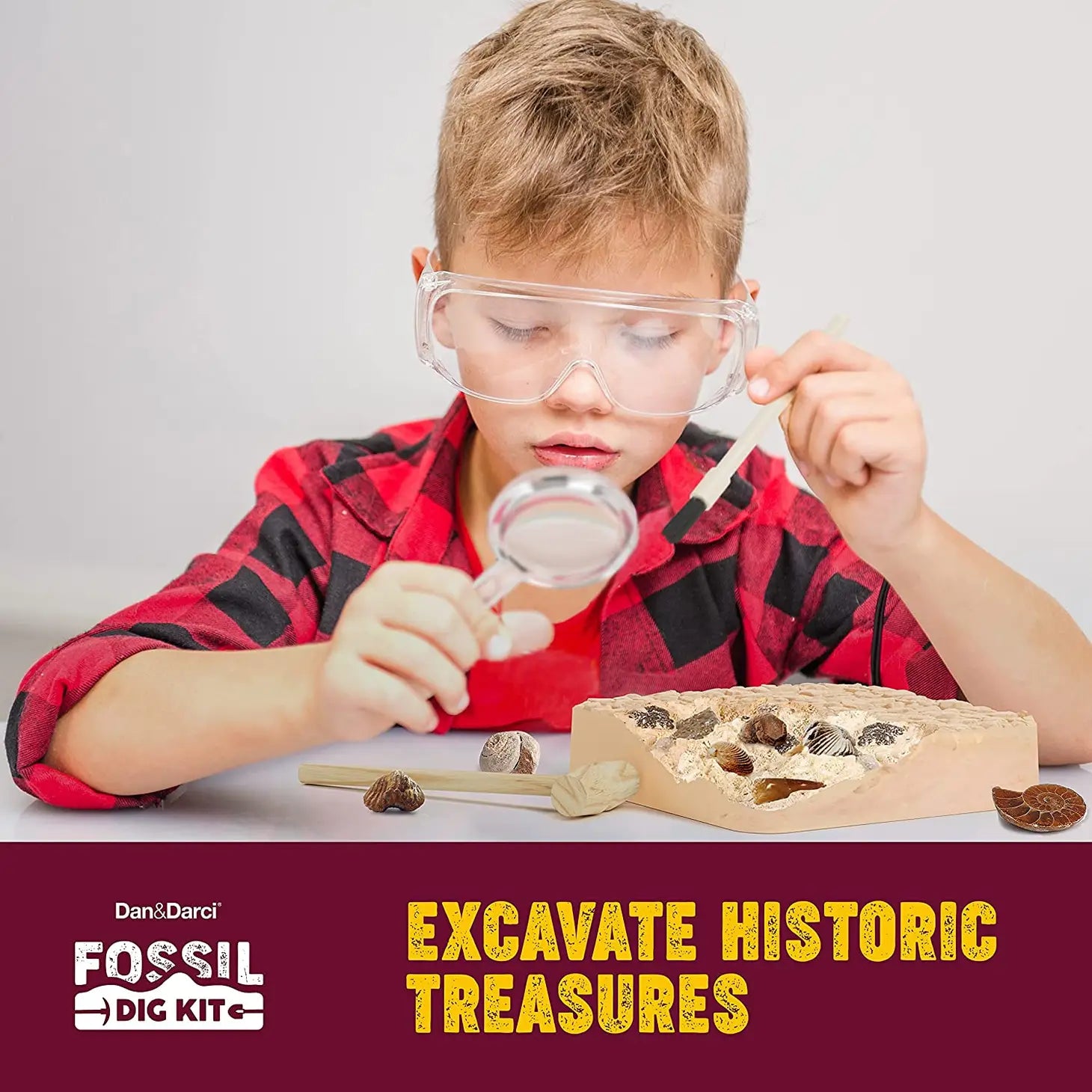 Fossil Dig Activity Kit