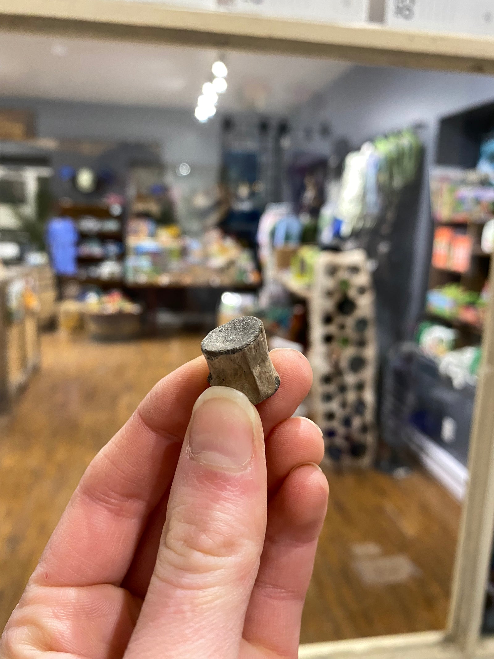 Champsosaurus vertebrae (xs)