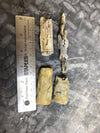 Petrified Wood Chunk (small)
