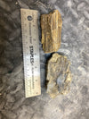 Petrified Wood Chunk (medium)