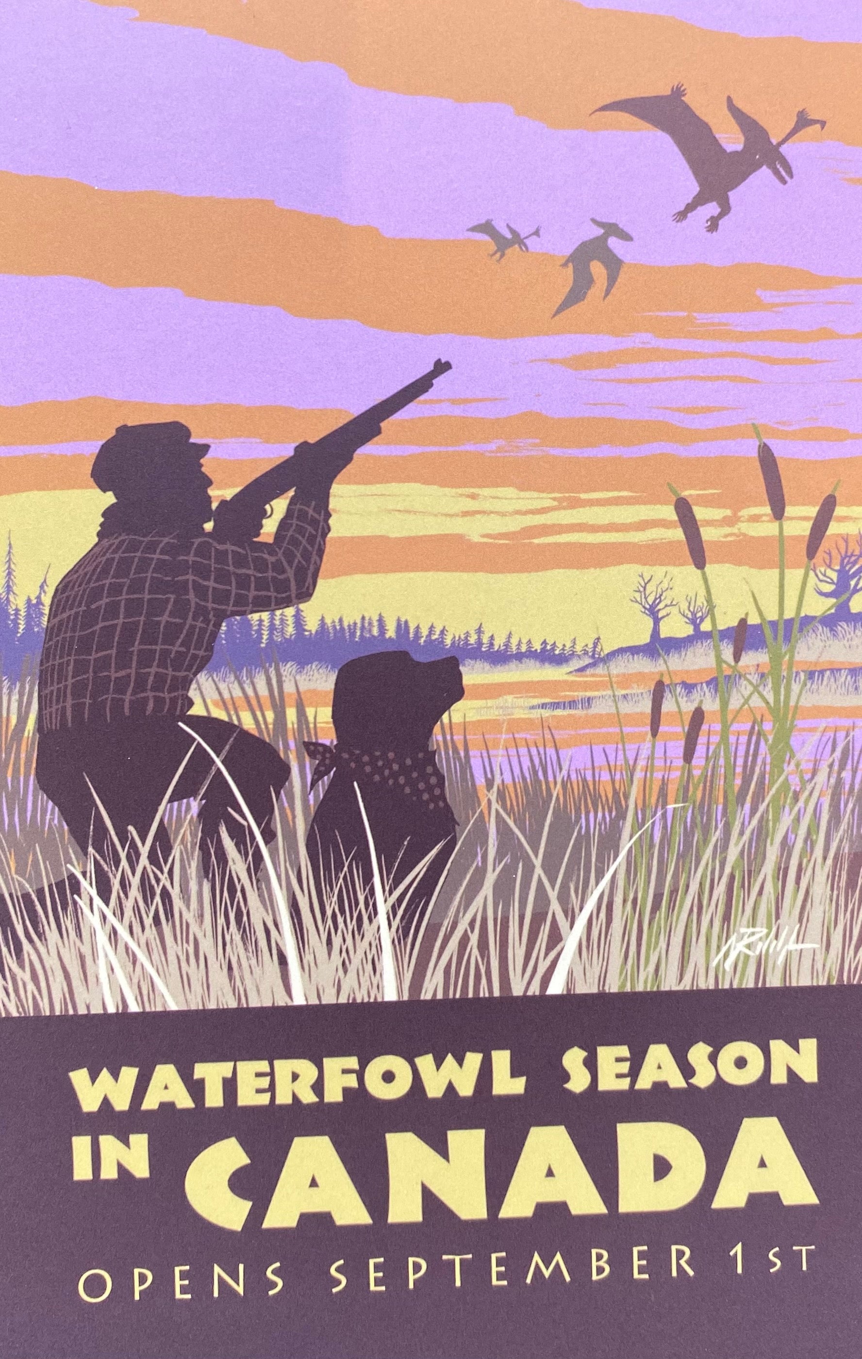 Waterfowl postcard
