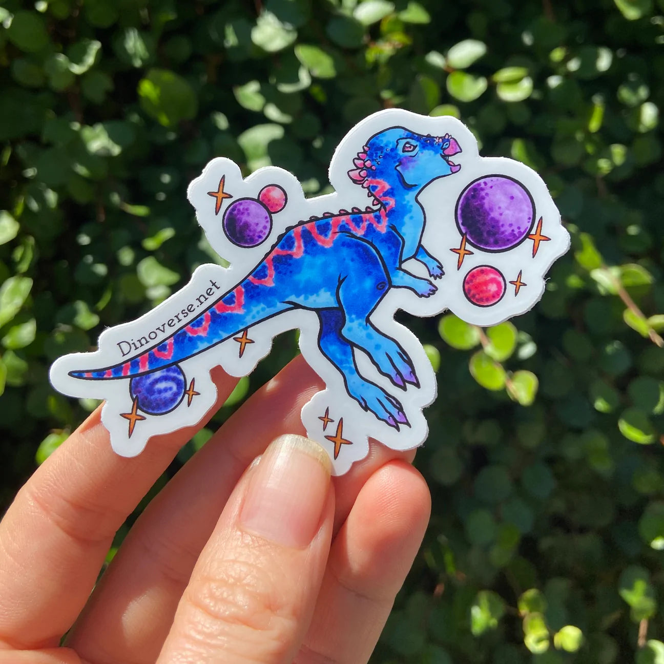 Pascha Pachycephalosaurus Sticker