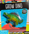 Grow Dinosaur