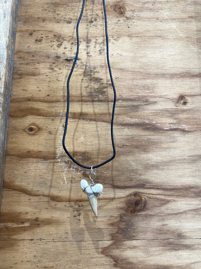Otodus necklace