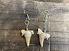 Otodus earrings