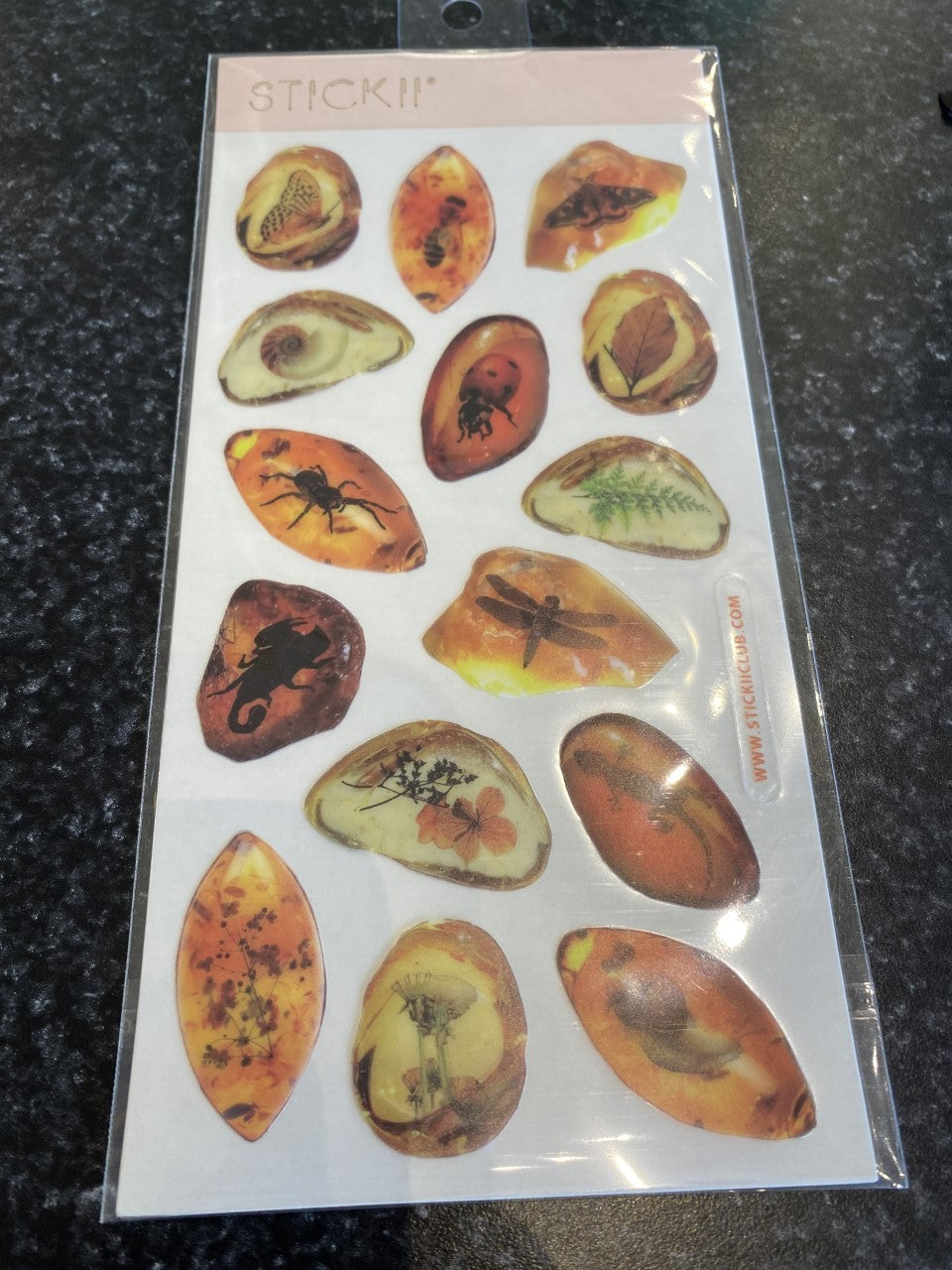 stickers sheet amber fossils