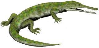 Champsosaurus vertebrae (medium)