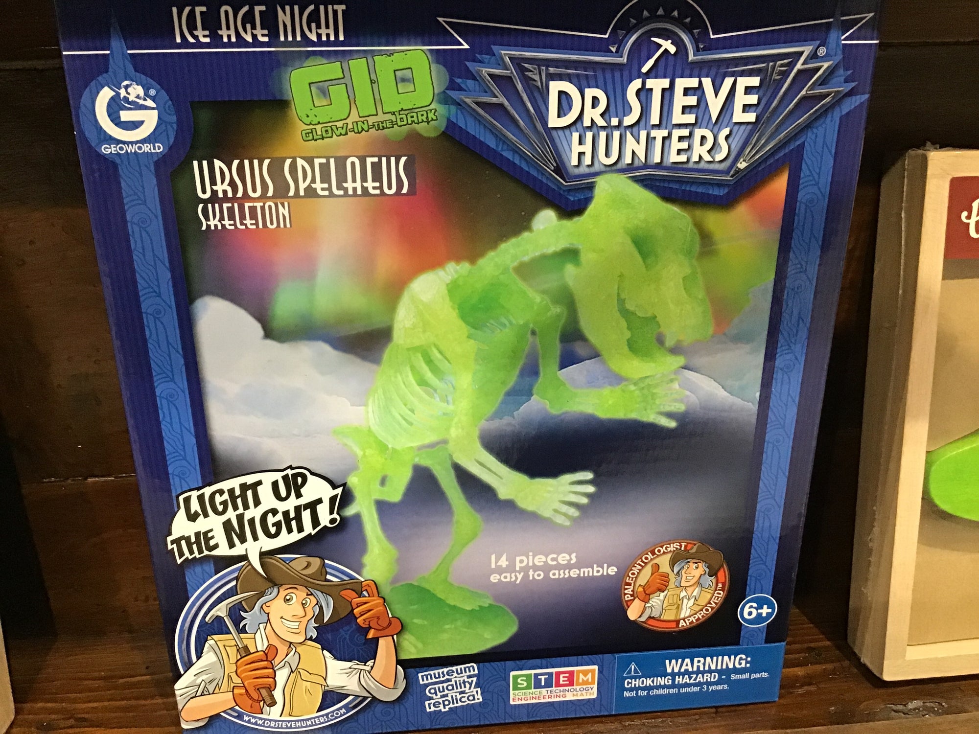 Ice age night model