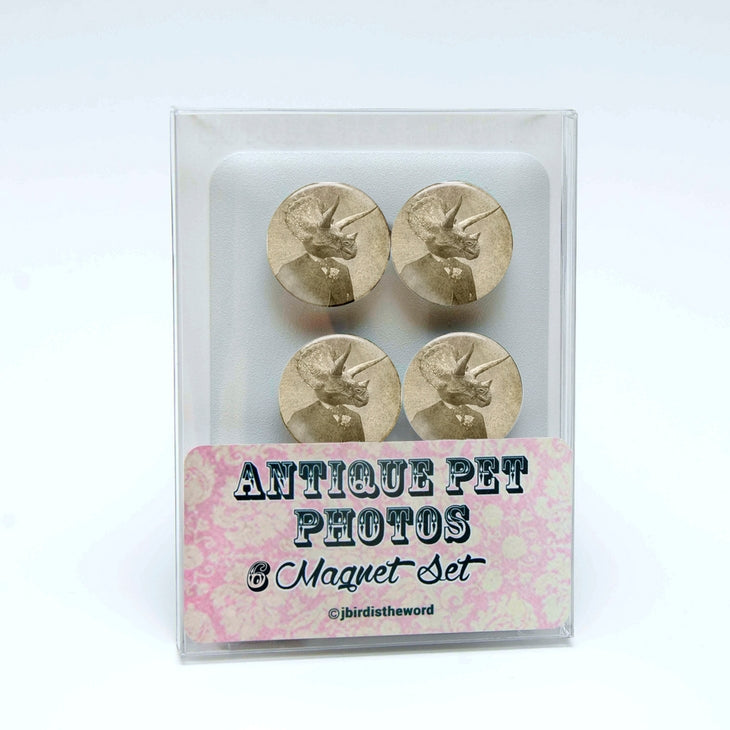 dinosaur magnets vintage