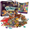Mega Fossil and Mineral Activity Kit