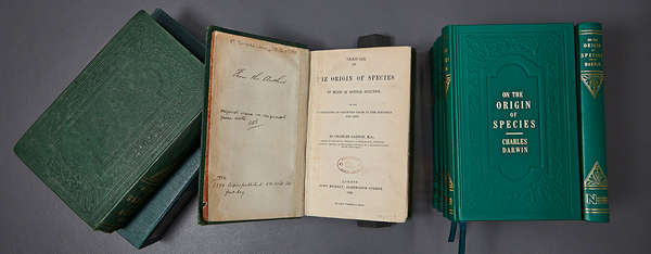 The Origin of Species - Dino Lab Inc